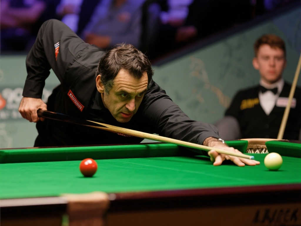 一个典型的 一个典型的